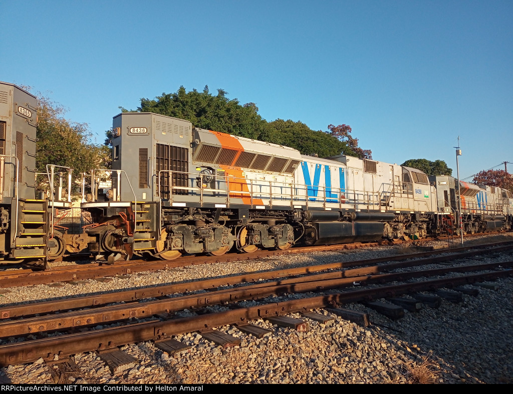 VLI 8436